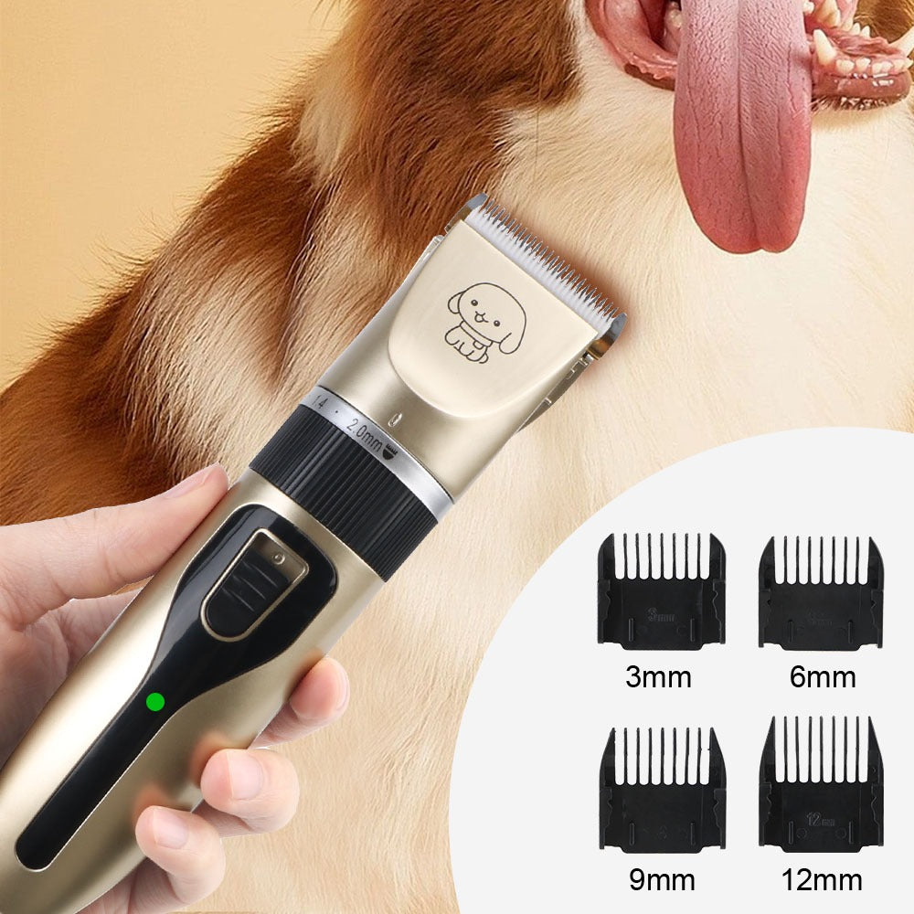 02 demo on dog