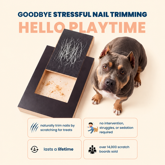 ScratchCalm dog nail file board - goodbye stressful nail trimming, hello playtime