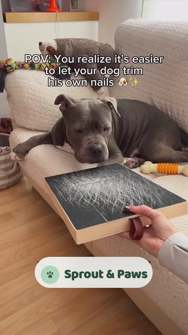 POV letting your dog trim his own nails with Sprout & Paws
