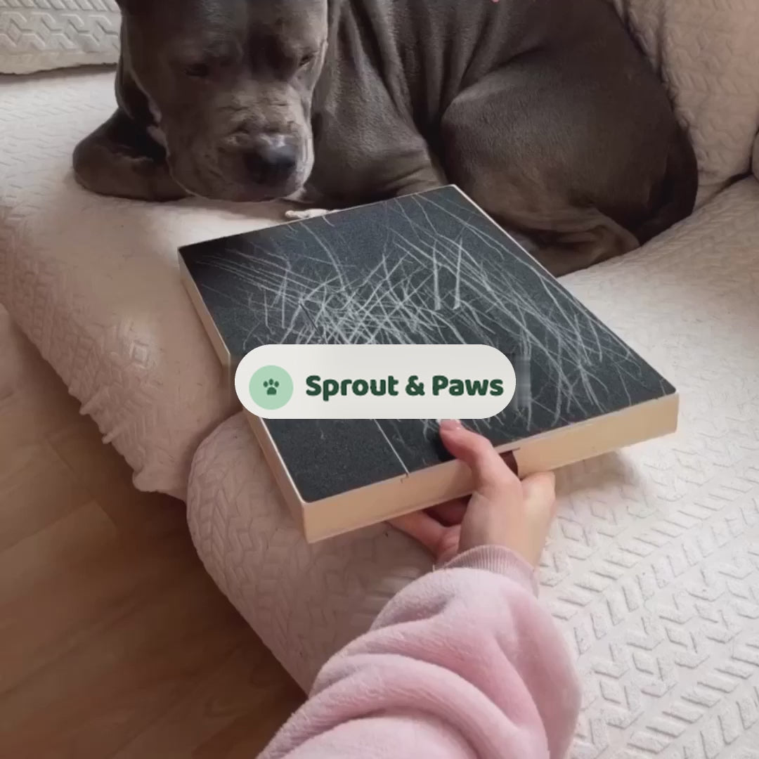 Dog relaxing while owner files nails with Sprout & Paws scratch board