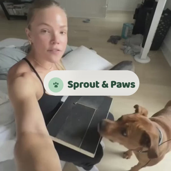 Dog scratching the Sprout & Paws board to get the treat