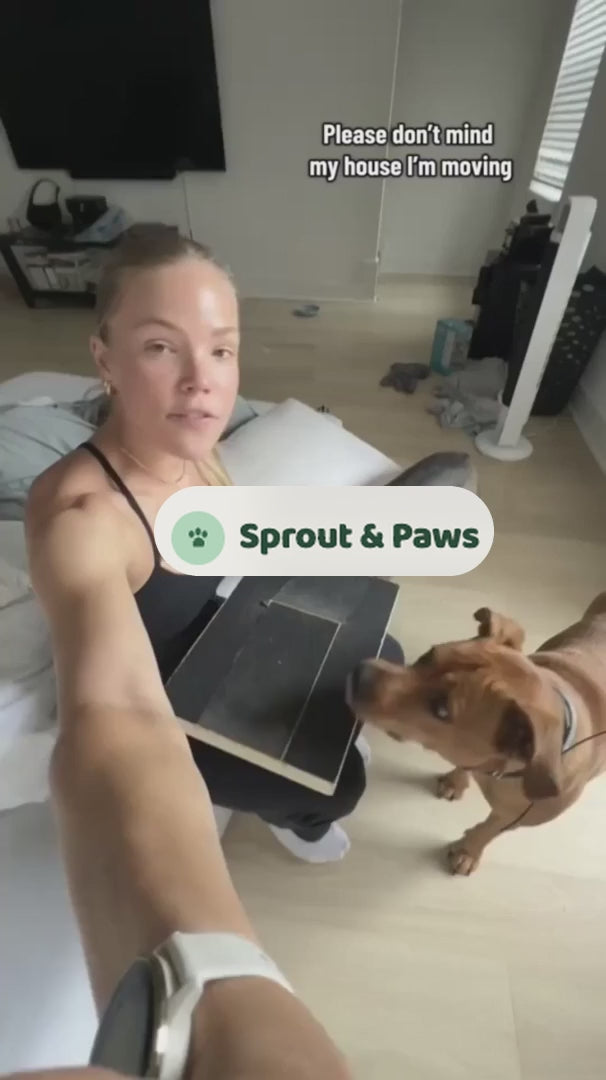 Dog scratching the Sprout & Paws board to get the treat